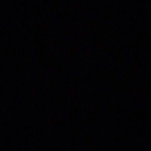 Meet your Posher, Daniela